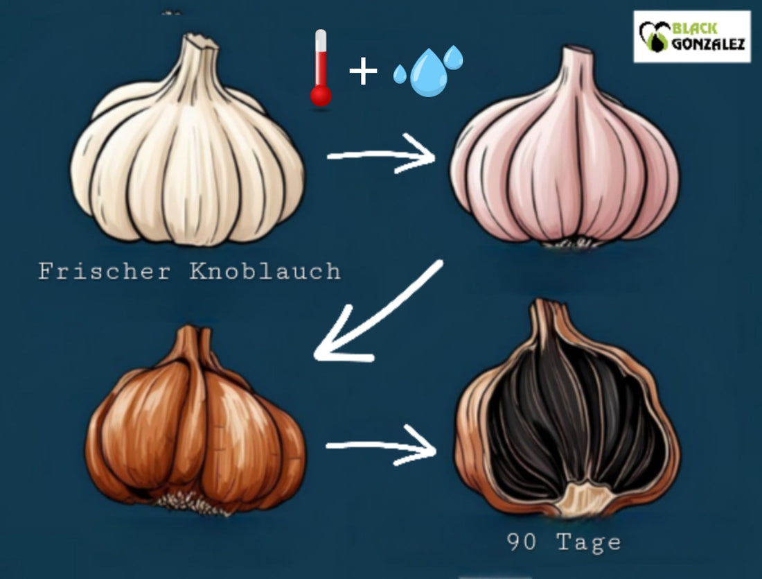 Schwarzer Knoblauch: Die Rolle der Maillard-Reaktion