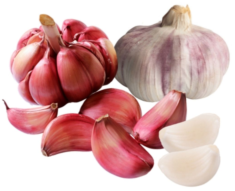 Violetter Knoblauch Ajo Morado Aus Las Pedro eras Black Gonzalez violetter-knoblauch-ajo-morado-aus-las-pedro-eras-black-gonzalez