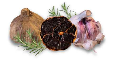 Schwarzer Knoblauch hergestellt aus erstklassigem violettem Knoblauch