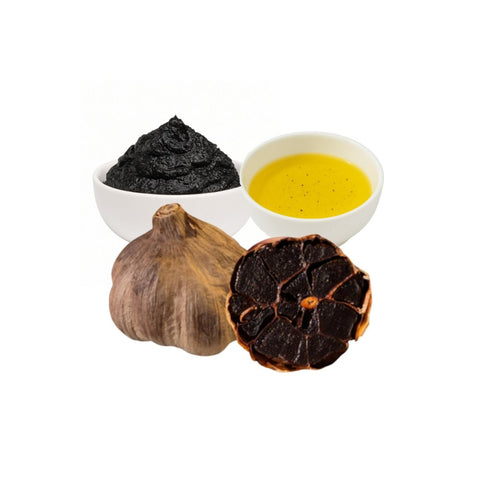Schwarzer Knoblauch Knollen, Mousse und Öl