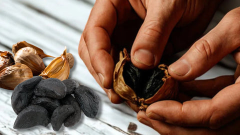 schwarzer-knoblauch-experten-blackgonzalez