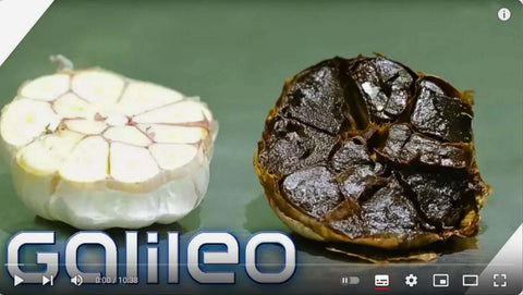 Schwarzer Knoblauch: Das Galileo-Team mit uns in Kastilien-La Mancha
