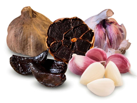 Schwarzer Knoblauch entsteht durch die Maillard-Reaktion