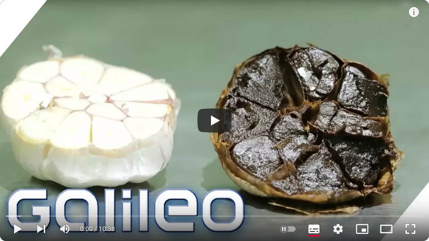 Schwarzer Knoblauch Galileo Pro7 Video über uns
