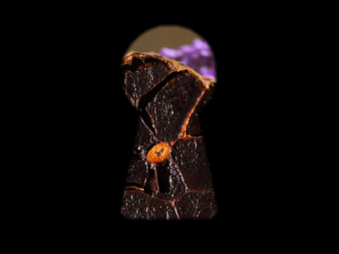 7 Dinge, die selbst schwarze-Knoblauch-Kenner oft nicht wissen