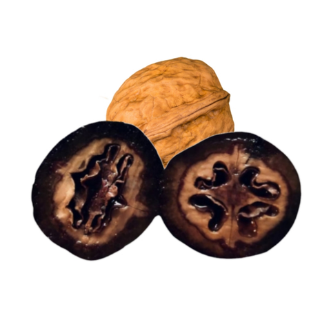 Schwarze Walnüsse - Delikatesse aus der Pfalz