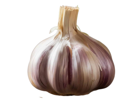Elefantenknoblauch