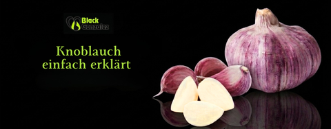 Knoblauch Black Gonzalez Hero