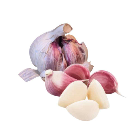 Violetter Knoblauch aus Spanien