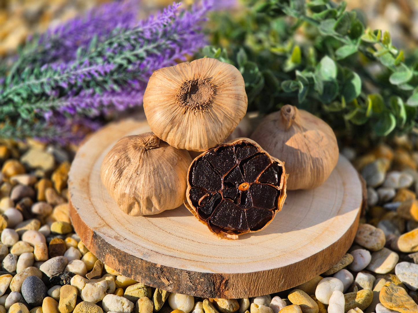 Schwarzer Knoblauch im Garten