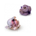 Pflanzknoblauch kaufen