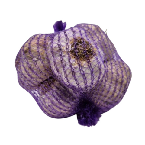 Pflanzknoblauch aus Spanien, Sorte Ajo Morado