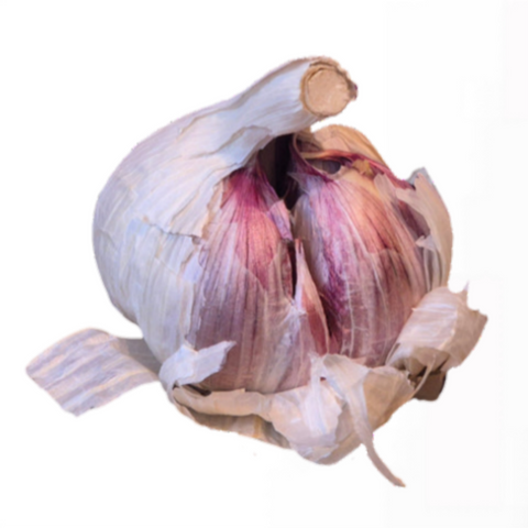 Violetter Pflanzknoblauch 250 g