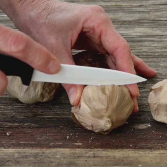 Schwarzer Knoblauch wird aufgeschnitten, um seine weiche, klebrige Textur und die dunkle, aromatische Innenseite zu zeigen.