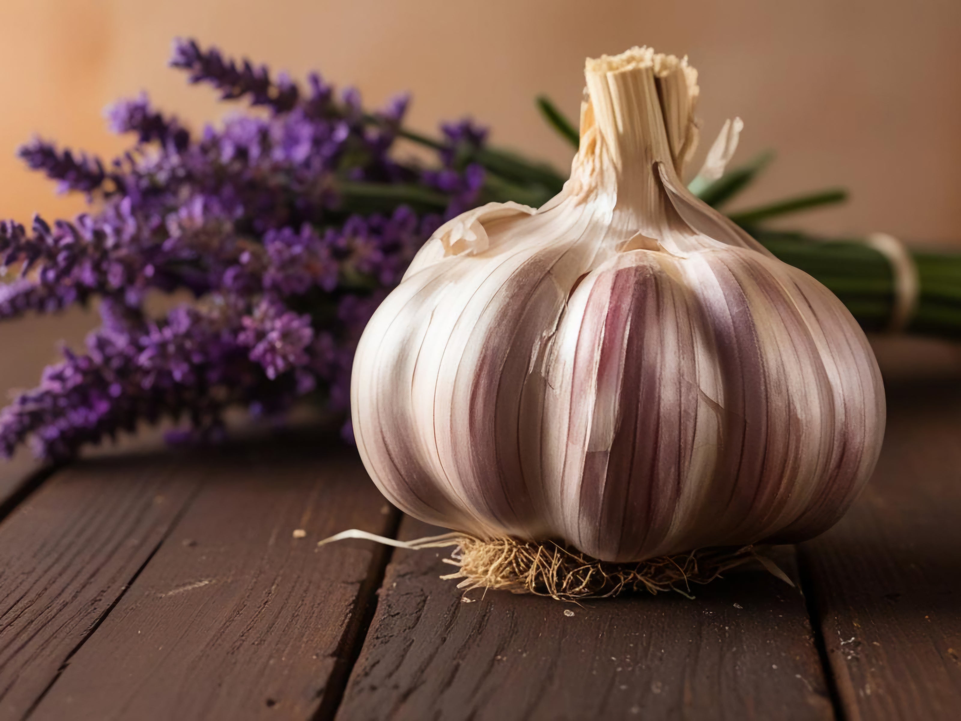 Riesenknoblauch