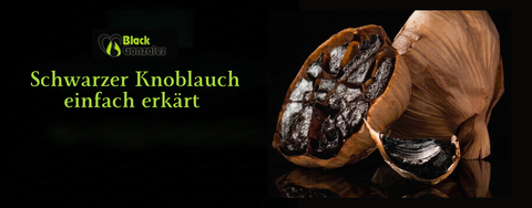 Schwarzer Knoblauch Infoseiten Hero