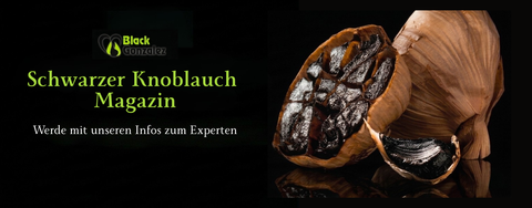 Schwarzer Knoblauch Magazin Hero