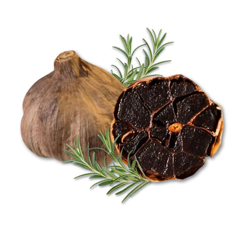 Schwarzer Knoblauch von Black Gonzalez