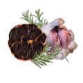 Schwarzer Knoblauch aus violettem Knoblauch gereift