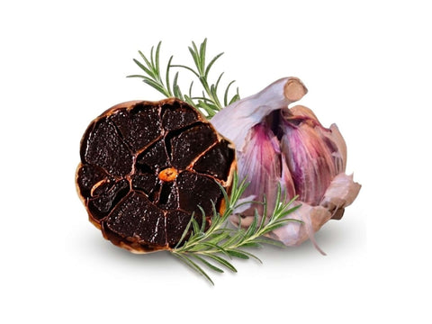 Schwarzer Knoblauch aus violettem Knoblauch gereift