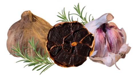 Schwarzer und violetter Knoblauch nebeneinander – Herstellung bei Black Gonzalez
