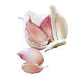 Produktbild: Violetter Spring Knoblauch aus der Region Las Pedroñeras