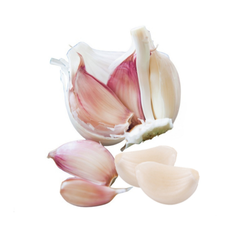 Produktbild: Violetter Spring Knoblauch aus der Region Las Pedroñeras