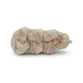 Netz mit fünf Knollen violettem Früh-Knoblauch, Produktfoto auf weißem Hintergrund