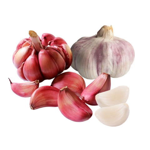 Violetter Knoblauch - Ajo Morado