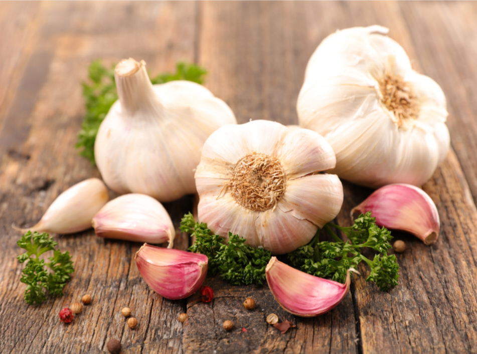 Violetter Knoblauch angerichtet auf einem Teller