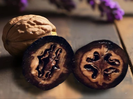 Schwarze Walnüsse schmecken süß-herb und sind eine fast vergessene Delikatesse